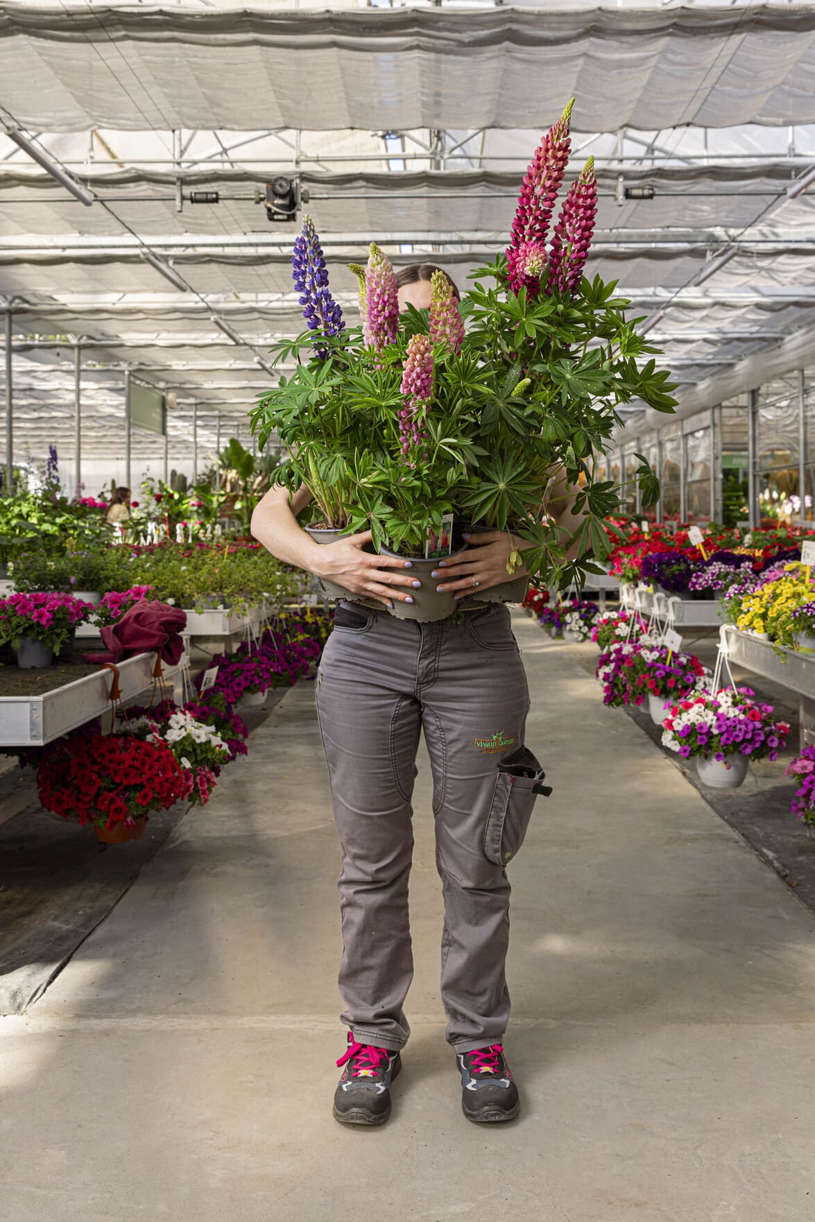 Dueggi Garden Center