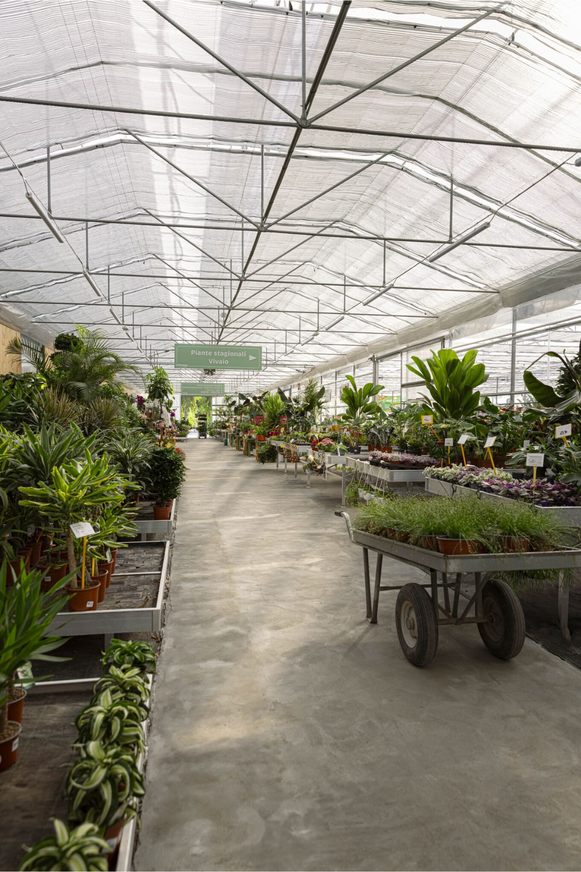 Dueggi Garden Center - Ampia scelta di piante e fiori