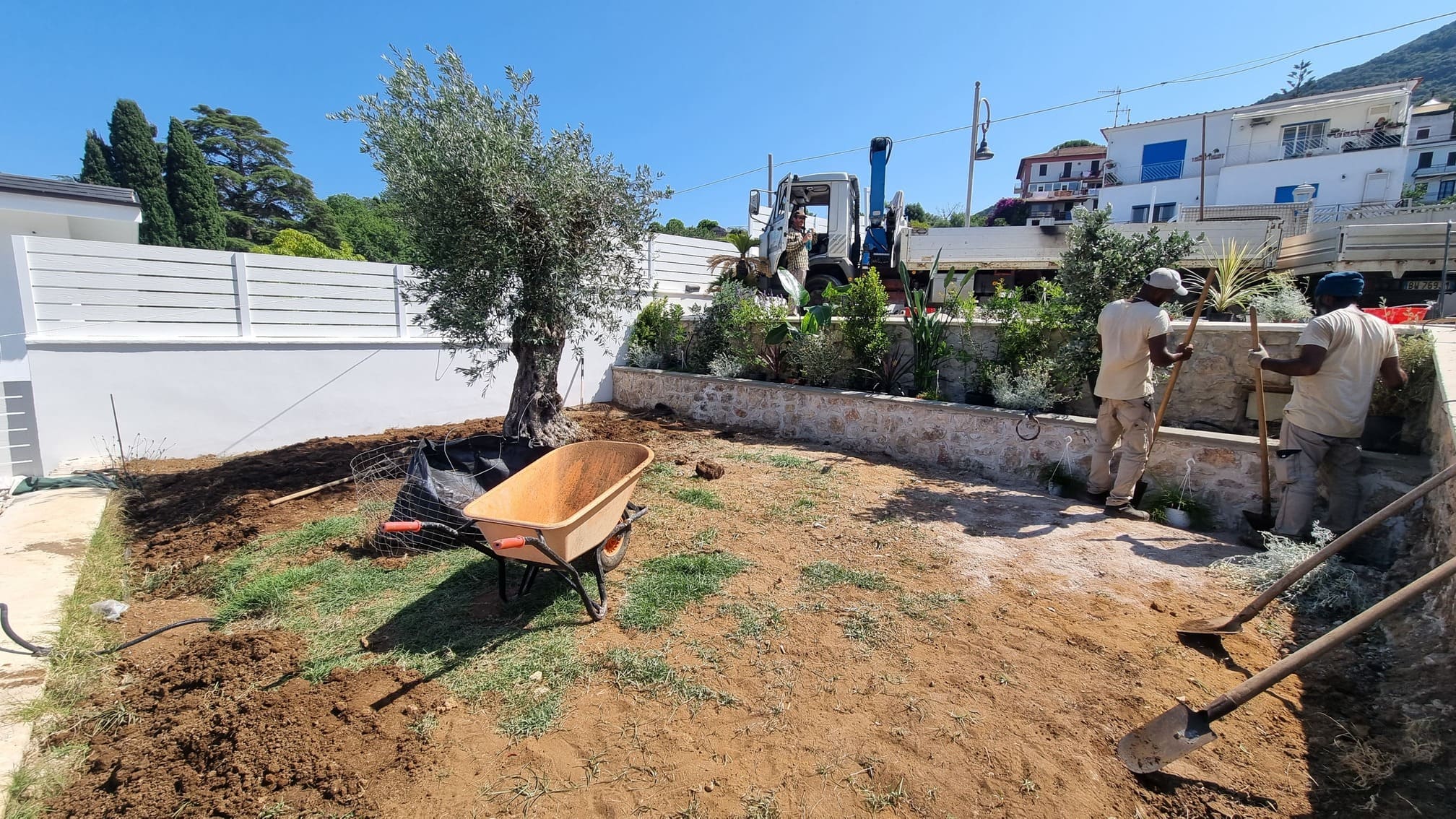 image-before