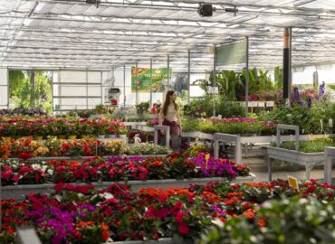 Garden Center sempre in fiore