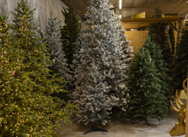 Alberi di Natale varie misure