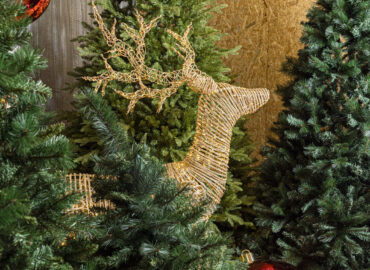 Alberi di Natale Dueggi